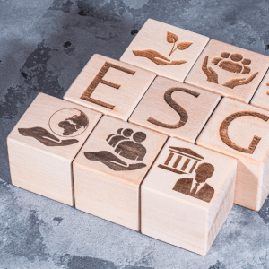 ESG κριτήρια και αρχές βιωσιμότητας